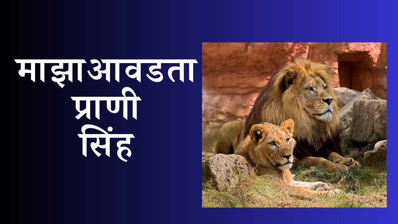 my favourite animal lion essay in marathi